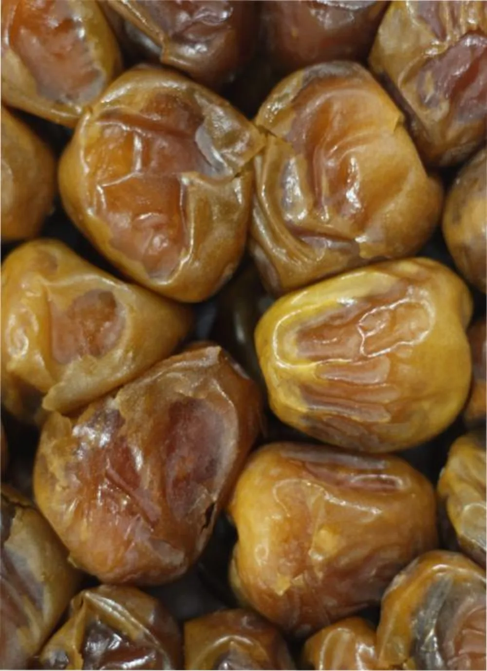 Kurma Sukari Grade A Basah (Rutab) 500g / 1kg / 3kg